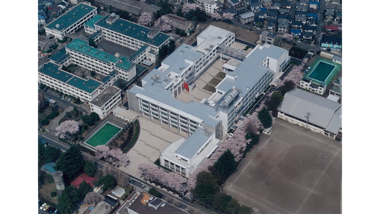 公の場での発言・インタビュー報道記録